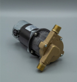 809-BR-HS 12V & 24V Mag Drive Pump